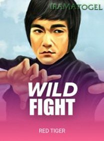 Wild Fight game cover